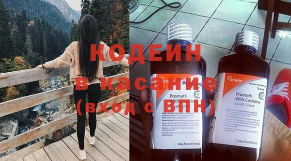 шишки Аркадак