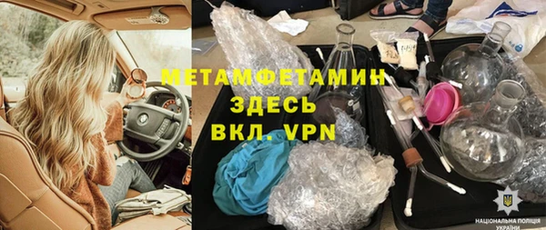 шишки Аркадак