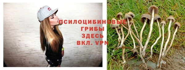 шишки Аркадак
