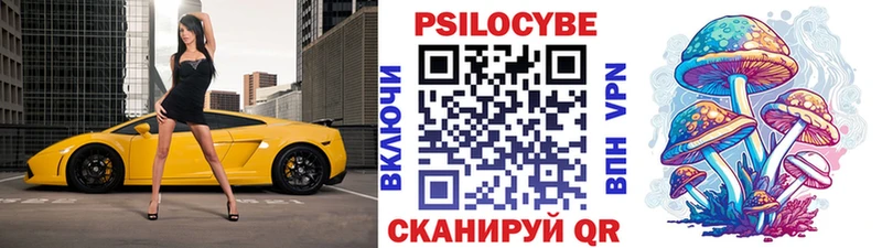 Псилоцибиновые грибы Psilocybine cubensis  Асбест 
